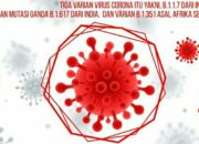 Update Cov-19, Positif 5.797 Total 1.758.898 Wafat 218 Total 48.887