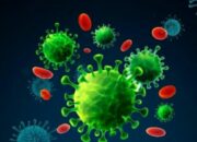 Update Cov-19, Positif 6.278 Total 1.797.499 Wafat 136 Total 49.907