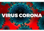 Sumbar Cov-19, Positif 291 Jumlah 43.012, Wafat 3 Total 952