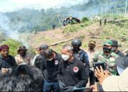 Polri Bakar 7 Haktare Ladang Ganja Di Gunung Lauser