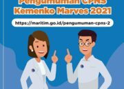 Kemenko Marves Buka Seleksi CPNS 2021