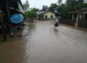 Banjir Berangsur Surut, Warga Aceh Mulai Kembali ke Rumah