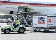 Vaksin Sinovac Sebanyak 10.000.280 Kembali Tiba di RI