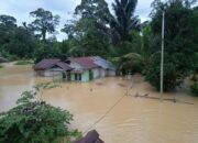 47 Desa dan 14.889 Jiwa Terdampak Banjir di Kapuas Hulu