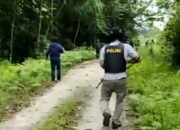 TNI-Polri Kontak Tembak dengan Kelompok KNPB di Maybrat
