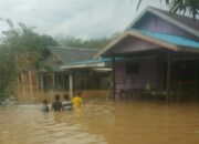 2.021 Jiwa Terdampak Banjir di Kabupaten Tanah Laut