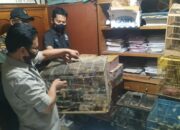 Jual Belikan Satwa Dilindungi, F Diamankan Polres Bukittinggi