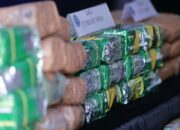 War On Drugs, BNN Musnahkan Ratusan Kilo Narkotika