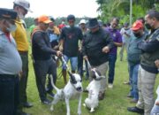 Cegah Rabies, Pemprov Sumbar Gandeng Pemburu Babi