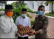 Gubernur Kampanyekan Ayo Makan Telur