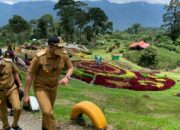 Taman Bunga di Puncak Tonang Siap Berbenah Sambut Wisatawan