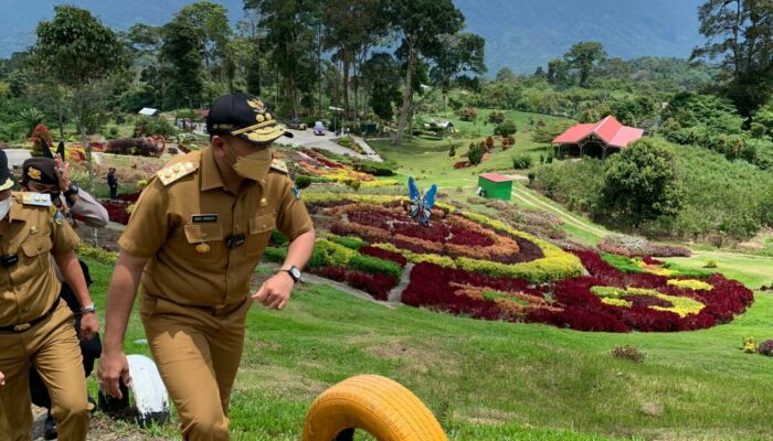 Taman Bunga di Puncak Tonang Siap Berbenah Sambut Wisatawan