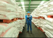 Pupuk subsidi di Sumbar Tercatat Sebanyak 11.718 Ton