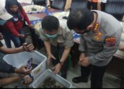 Polda dan BKSDA Sumbar Tangkap tangan Penyimpan Satwa Dilindungi