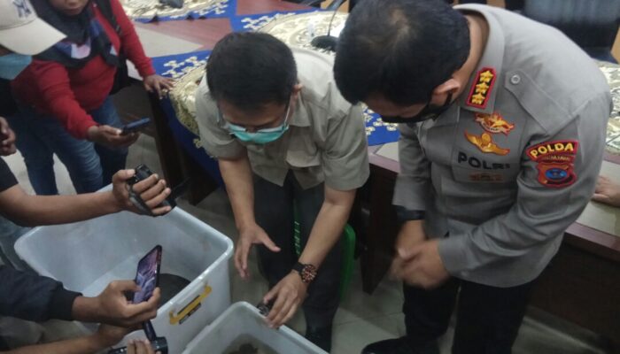 Polda dan BKSDA Sumbar Tangkap tangan Penyimpan Satwa Dilindungi
