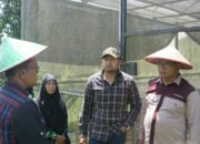 Pemprov Sumbar Dorong Poktan Bangun Sistem Terpadu