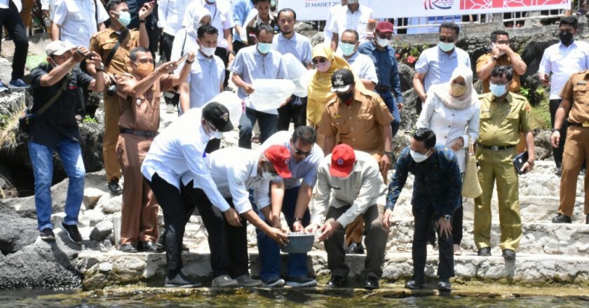 Gubernur Lepas 4 Ribu Ikan Bilih Hasil Pembenihan PT. SP