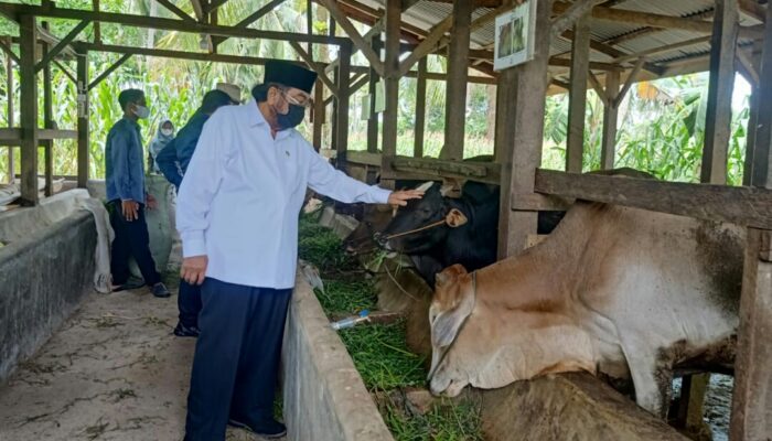 Leonardy Kunjungi BUMDES Naras Hilir Dengarkan Curhat Kades