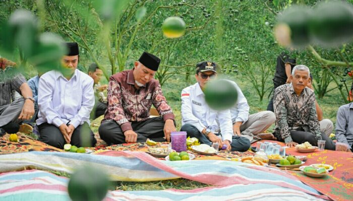 Petani Jeruk Gunung Omeh Keluhkan Serangan Hama Pada Gubernur