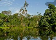 Taman Kehati Emil Salim Jadi Ikon Baru Kota Sawahlunto Sumbar