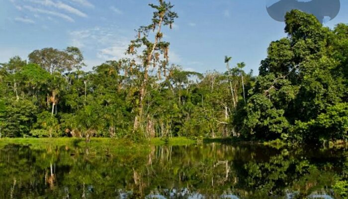 Taman Kehati Emil Salim Jadi Ikon Baru Kota Sawahlunto Sumbar