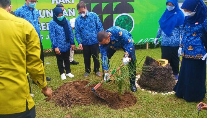 Peringati Lingkungan Hidup, Wagub Tanam 100 Pohon di RSUP M Jamil