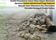 Walhi Sumbar Apresiasi Atas Sanksi ke Koperasi Minyak Atsiri Mentawai