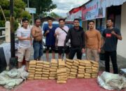 Puluhan Kilogram Ganja Berhasil Diamankan Polres Solok