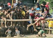 Tarik Wisatawan, Pesta Rakyat Nagari Padang Sibusuak Heboh