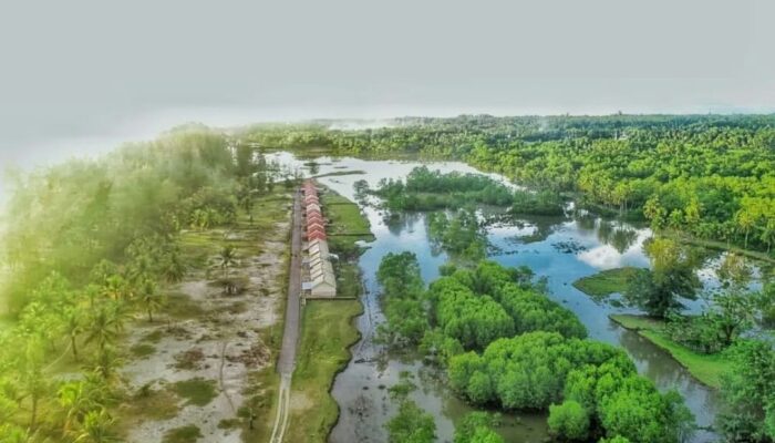 Ekosistem Mangrove di Nagari Gasan Gadang Terancam