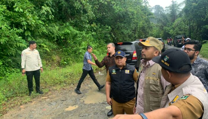 Wagub Audy Tinjau Proses Pengerjaan Jalan di Pasaman