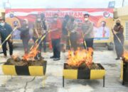 Polda Sumbar Bakar Barang Bukti Ganja Kering