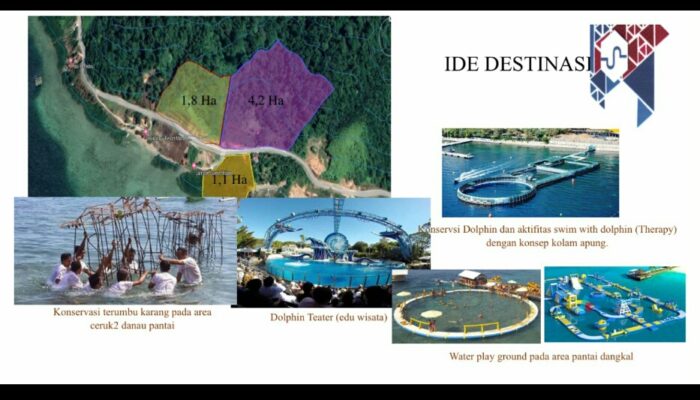 Kawasan Mandeh Direncanakan Konservasi Lumba Lumba