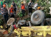 Anjing Pelacak Temukan Titik Korban Tertimbun Gempa Cianjur