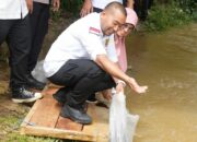 Genjot Ekonomi, Wagub Lepas 15 Ribu Bibit Ikan di Nagari Sikabau