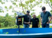 Indosat dan GSMA Ikut Program Konservasi Mangrove di Kalut