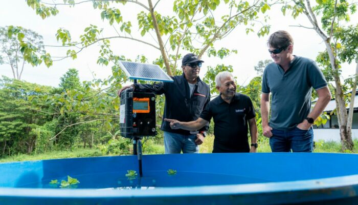 Indosat dan GSMA Ikut Program Konservasi Mangrove di Kalut