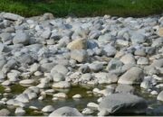 Musim Kemarau Tiba, Warga Diminta Untuk Menghemat Air