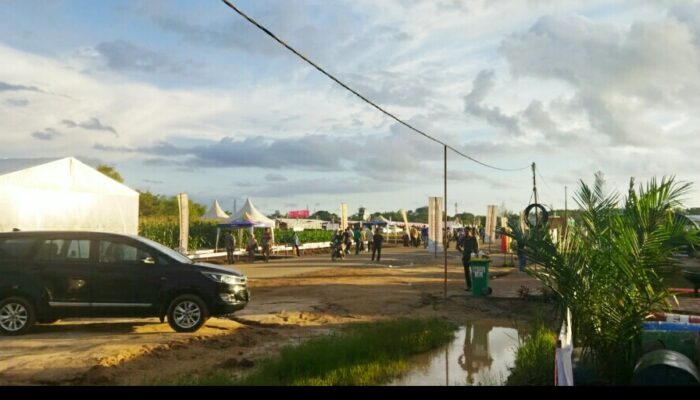 Puluhan Ribu Peserta Meriahkan Penas Tani ke XVI di Padang