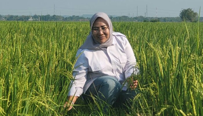 Digitalisasi Meningkatkan Produktivitas dan Taraf Hidup Petani