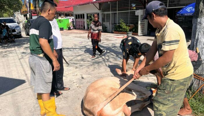 Idul Adha, Alumni 92 SMA 6 Padang Kurban Satu Sapi