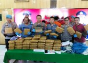 Mata Elang Polres Pariaman Gagalkan Peredaran Ganja