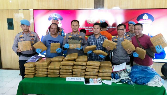 Mata Elang Polres Pariaman Gagalkan Peredaran Ganja