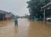Selain Curah Hujan, Banjir di 35 Titik Kota Padang Juga Disumbang Pasang Air Laut