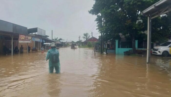 Selain Curah Hujan, Banjir di 35 Titik Kota Padang Juga Disumbang Pasang Air Laut