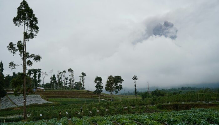 Bantu Korban Erupsi, Puluhan Relawan Diberangkatkan