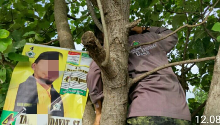 Aliansi Masyarakat Selamatkan Pohon dari Paku Poster Caleg