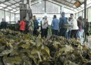 Pemprov Sumbar Siapkan Pergub Tata Niaga Gambir