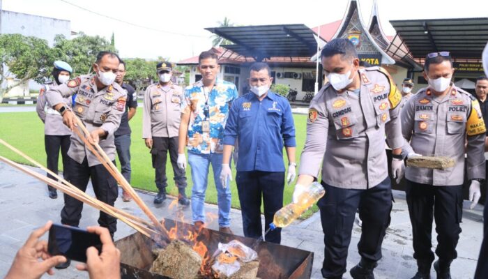 Polres 50 kota Bakar BB Ganja Kering seberat 10 Kilo