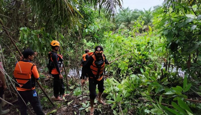 Diduga Dilarikan Buaya Sudirman Sudah Tiga Hari Terus Dicari